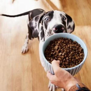 0.9 Cubic Feet Capacity 900 Watts Kitchen Essentials for the Countertop Stainless Steel