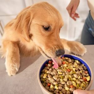 36" Side-by-Side Refrigerator and Freezer with 25 Cubic Ft. Total Capacity, Black