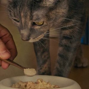 Star 9,500 BTU 115V Dual Inverter Window Air Conditioner with Wi-Fi Control