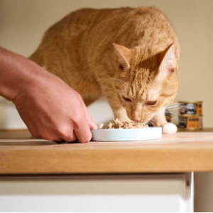 Compact Pulsator Washer for Clothes, .9 Cubic ft. Tub, White, BPAB10WH