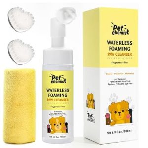 Home Speaker 500: Smart Bluetooth Speaker with Alexa Voice Control Built-In, White