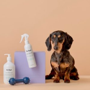 Health and Fitness Smartwatch with Heart Rate, Music, Alexa Built-In, Sleep and Swim Tracking